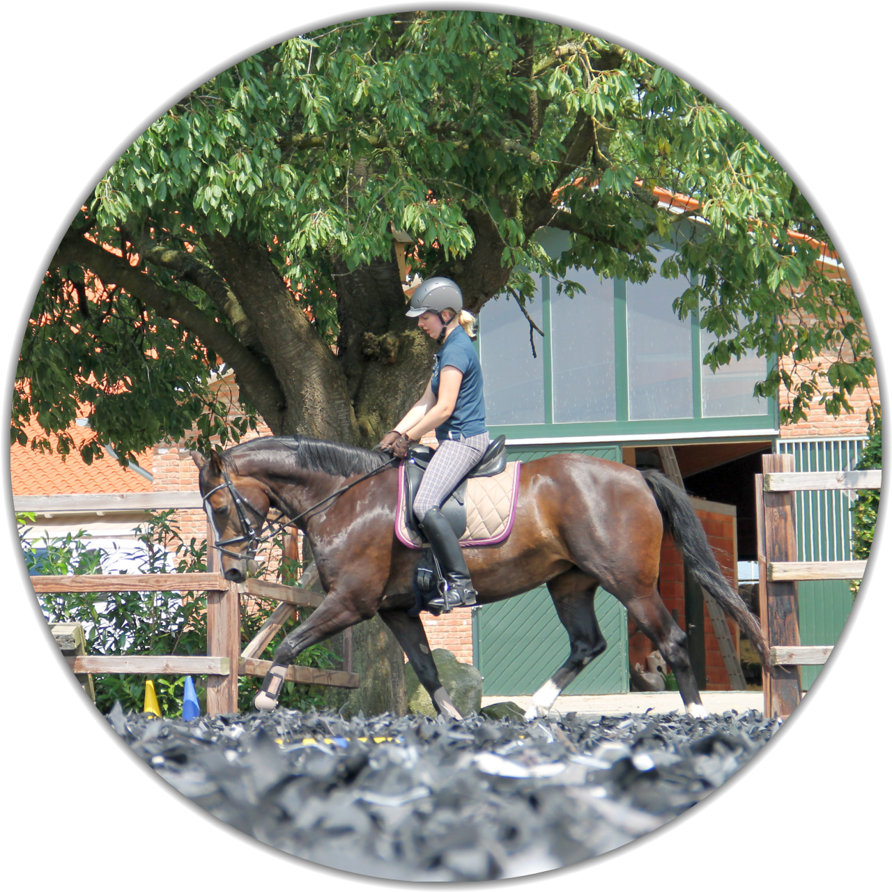 Allwetter-TEX - Reiten das ganze Jahr