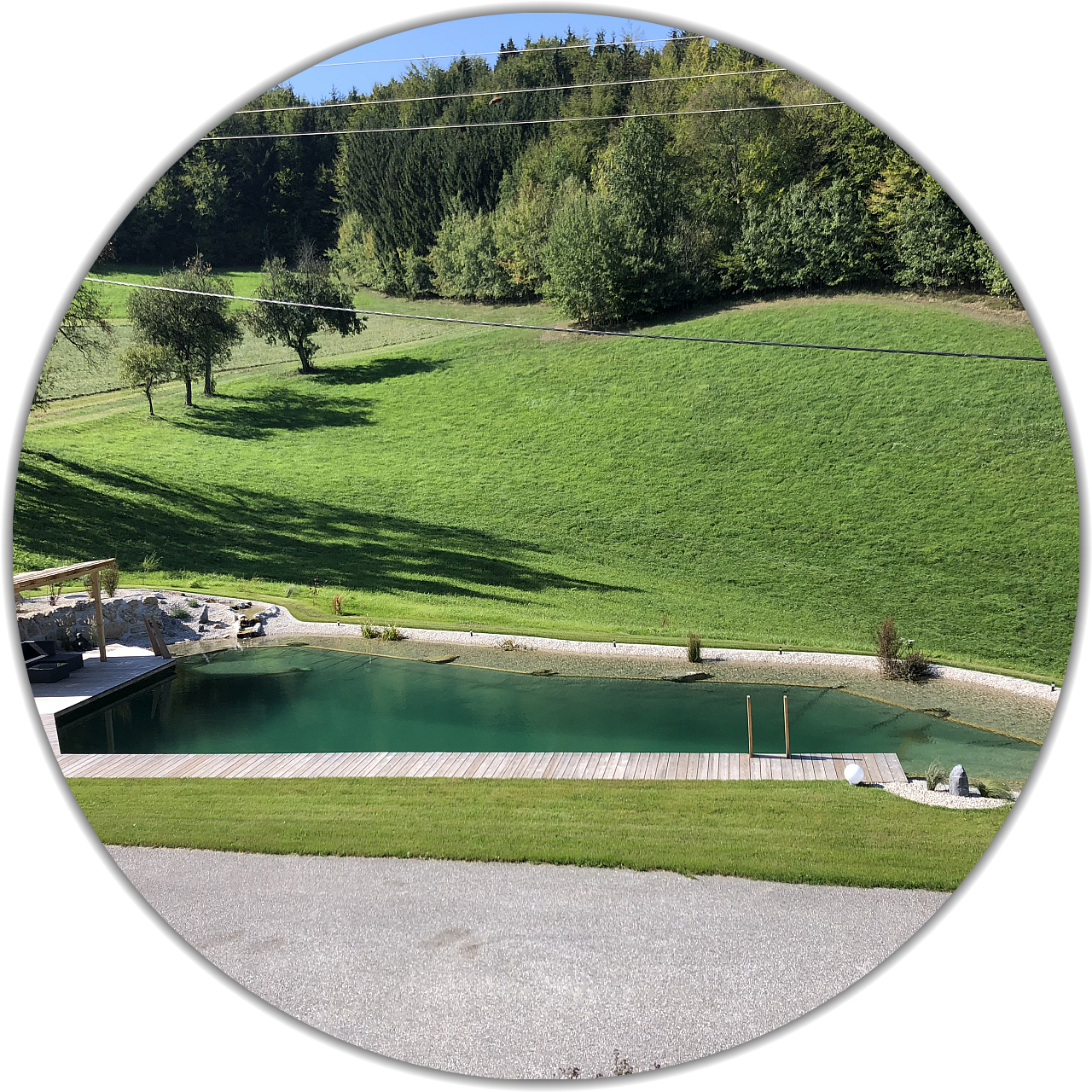 Teichfolie olivgrün 1,5 mm (ähnlich RAL 6003)