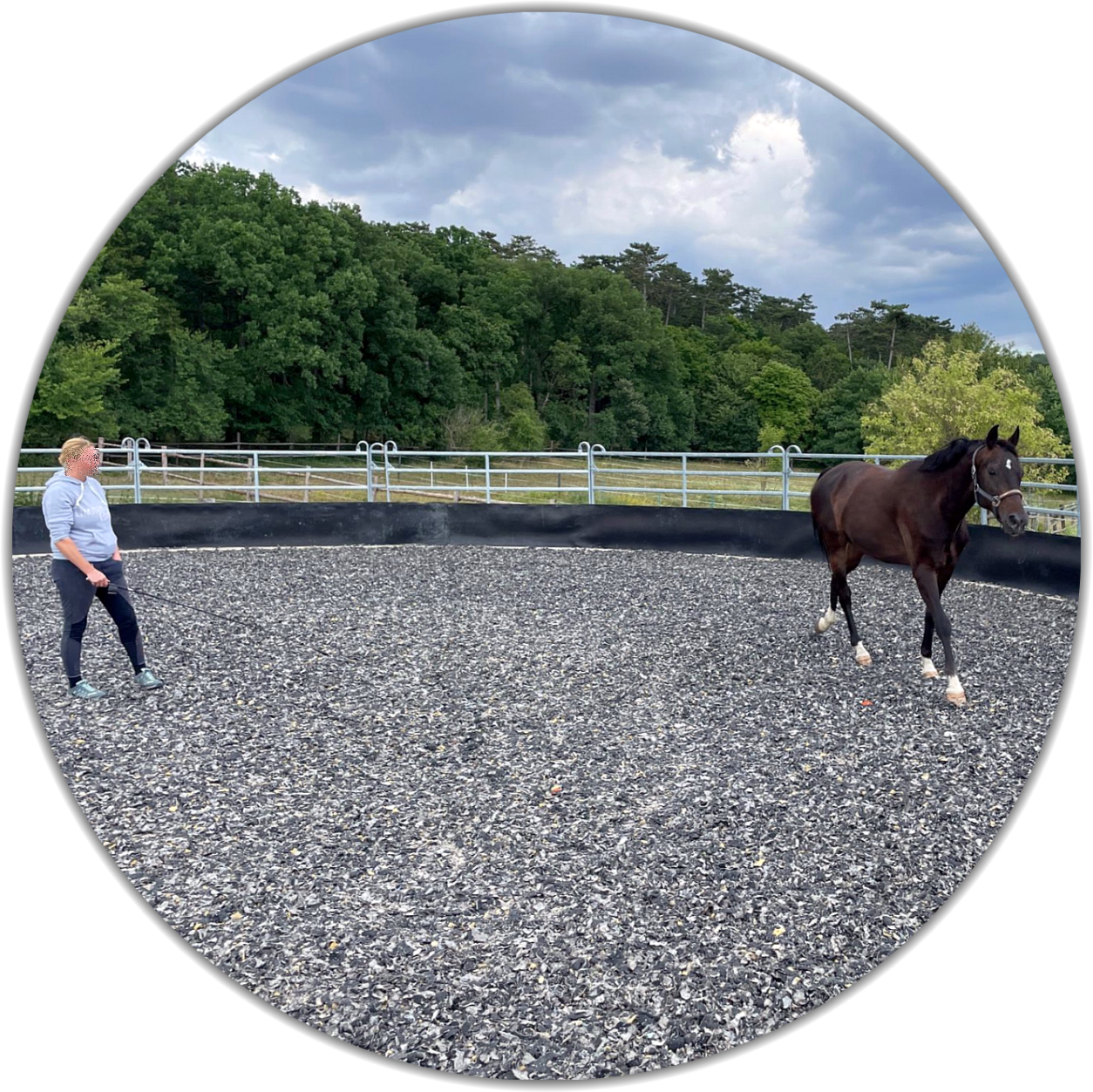 Allwetter-TEX - Reiten das ganze Jahr