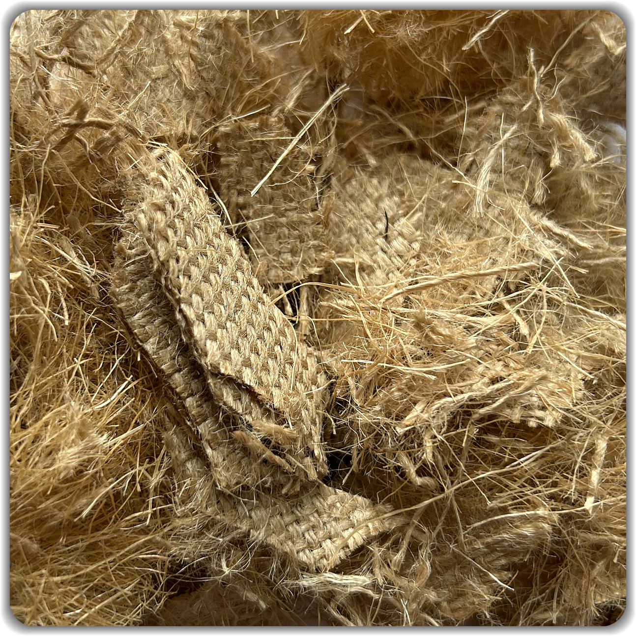 Organic JUTE + Faser ★ alles voll biologisch abbaubar